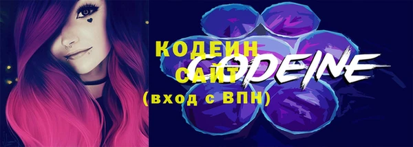 ГАЛЛЮЦИНОГЕННЫЕ ГРИБЫ Арсеньев
