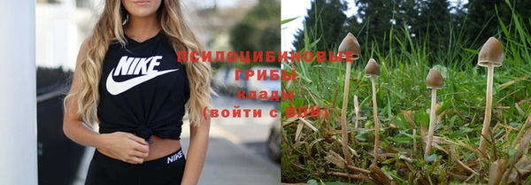 ГАЛЛЮЦИНОГЕННЫЕ ГРИБЫ Арсеньев